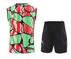 2025-26 Arsenal training vest jersey view 7