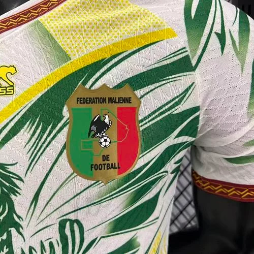 2025-26 Mali Home and Away Jerseys - Player Version view 3