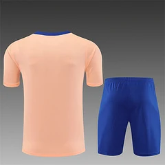 2025-26 France Pink Short Sleeve Training Jersey view 2