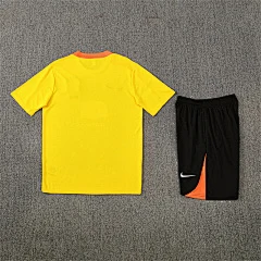 2025-26 Brazil yellow short-sleeved training jersey view 17