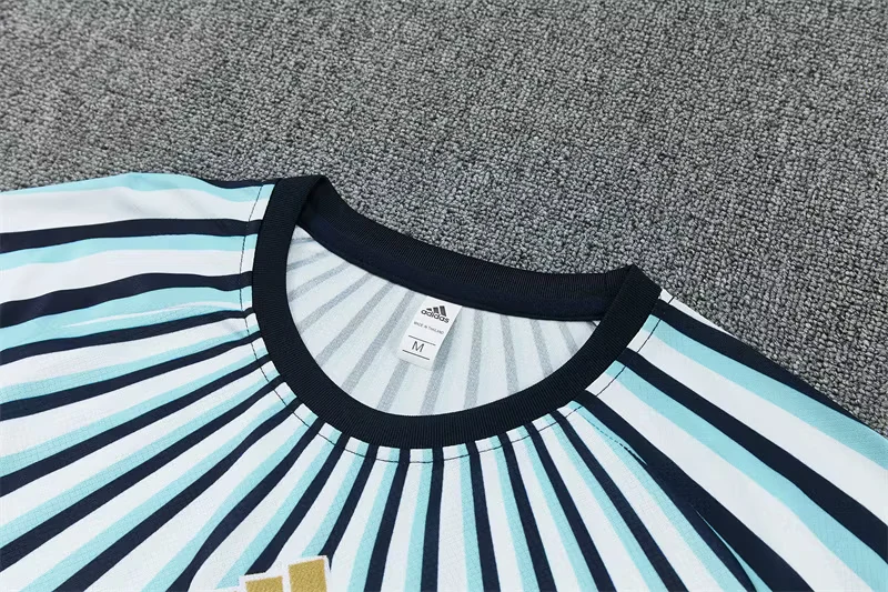 2026-27 Argentina Blue and White Short-Sleeve Training Jersey view 5