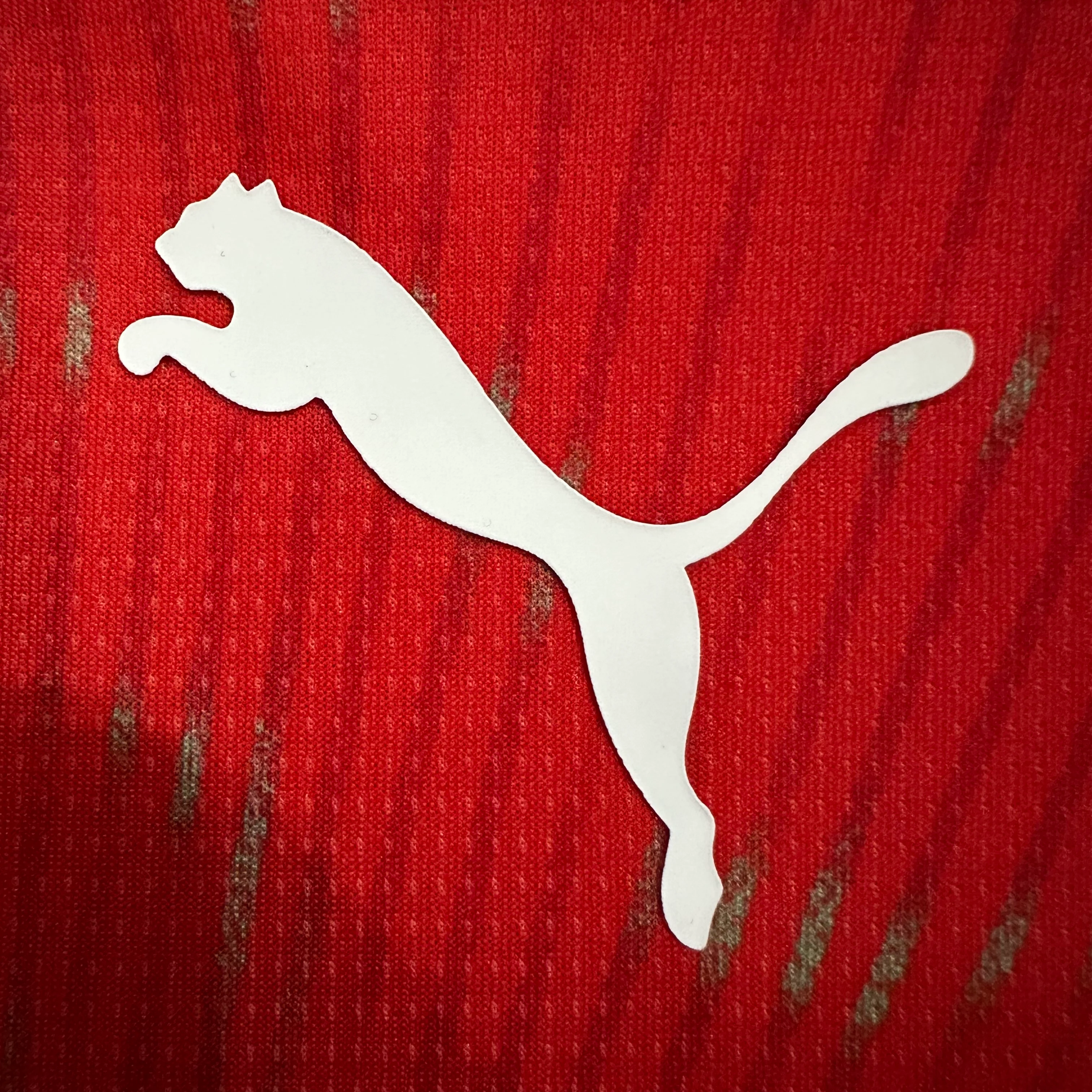 2026-27 Switzerland Home Jersey view 4