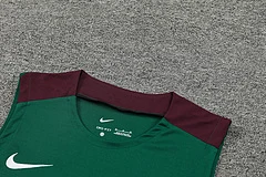 2024-25 Paris Saint-Germain training vest view 9