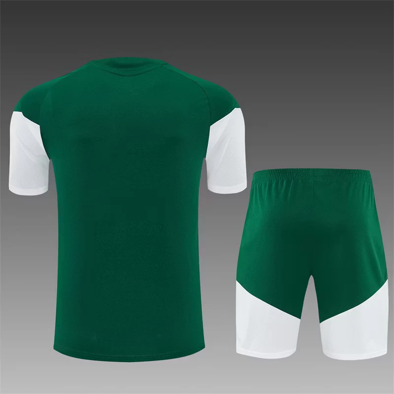 2026-27 Italy Green Short-Sleeve Training Jersey view 2