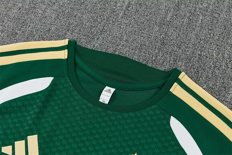 2026-27 Italy Green Short-Sleeve Training Jersey view 5