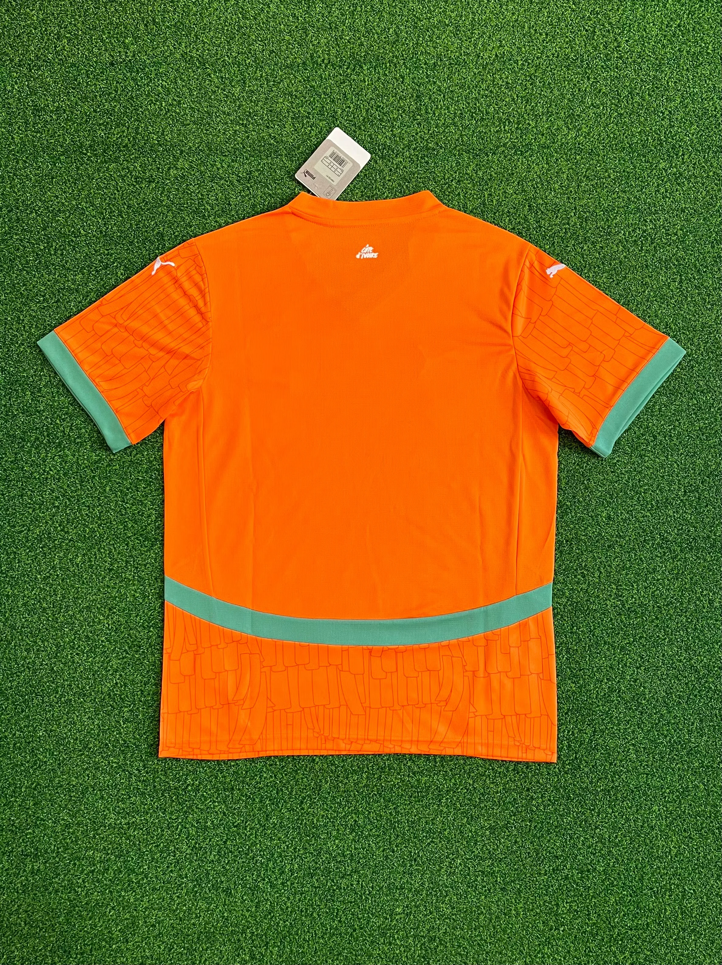 2025-26 Ivory Coast Home Jersey view 2