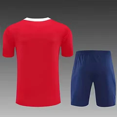 2025-26 Paris Saint-Germain Red Short-Sleeve Training Jersey view 2