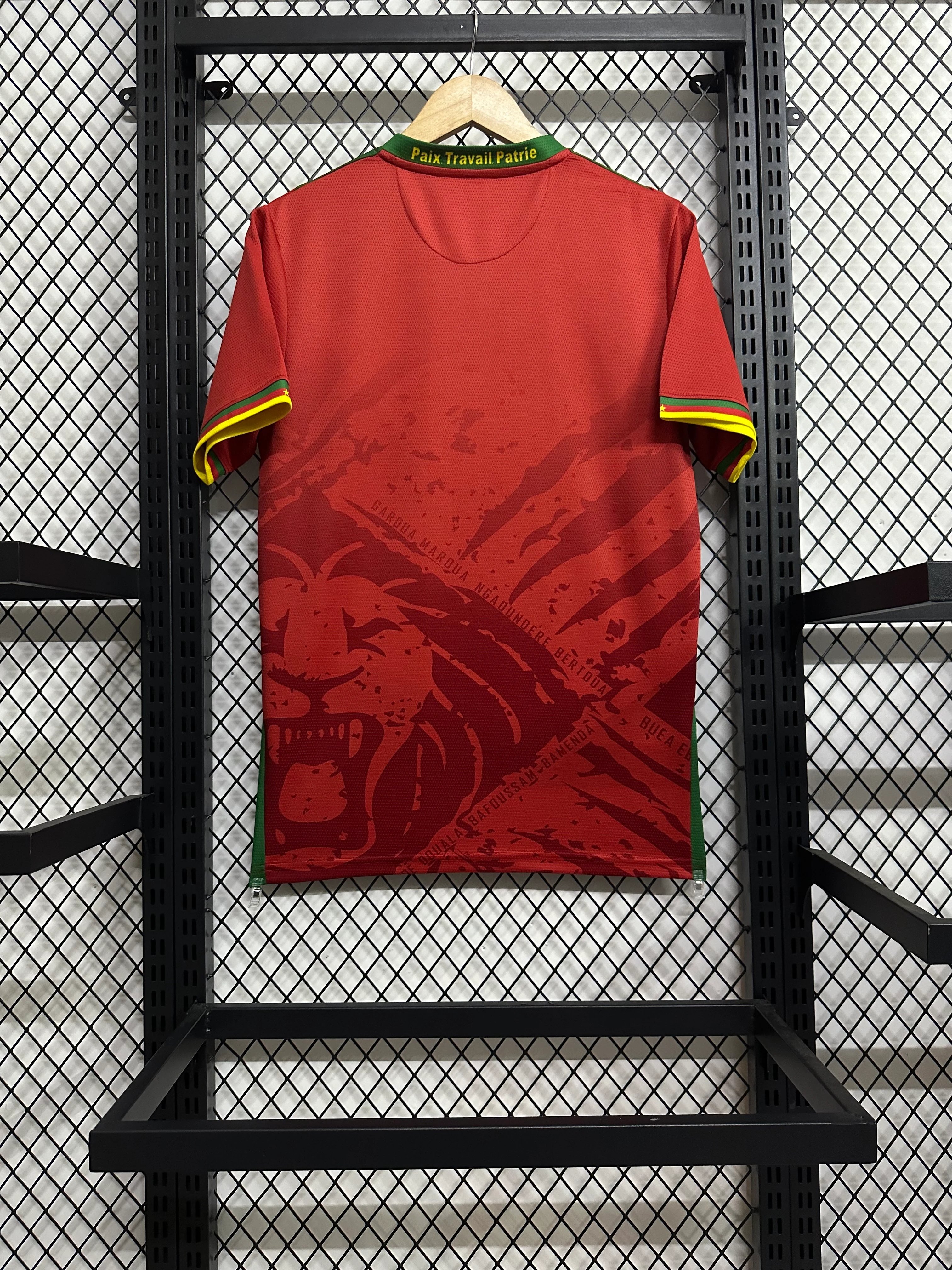 2025-26 Cameroon Away Jersey view 2