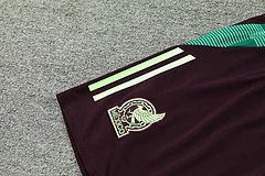 2024-25 Mexico training vest jersey view 4