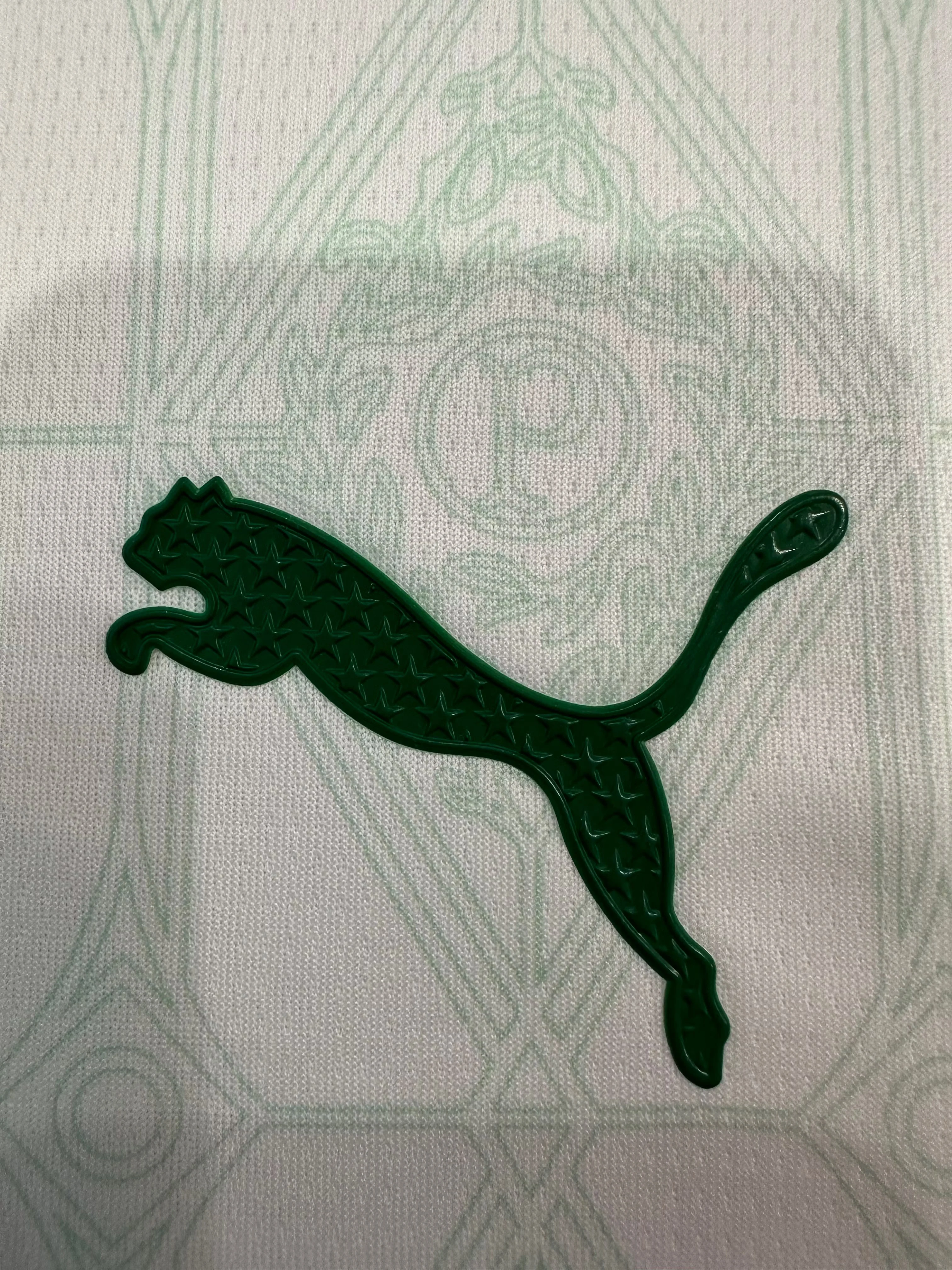 2025-26 Palmeiras Away Jersey – Player Version view 3