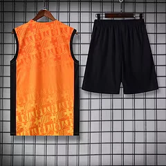 2024-25 Barcelona vest training jersey view 2