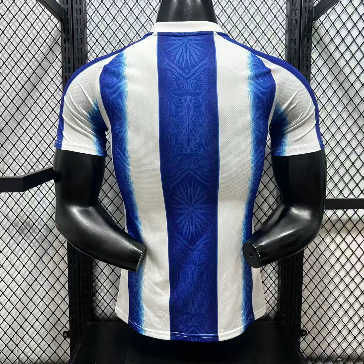 2026-27 Argentina Special Edition Jersey – Player Version view 2