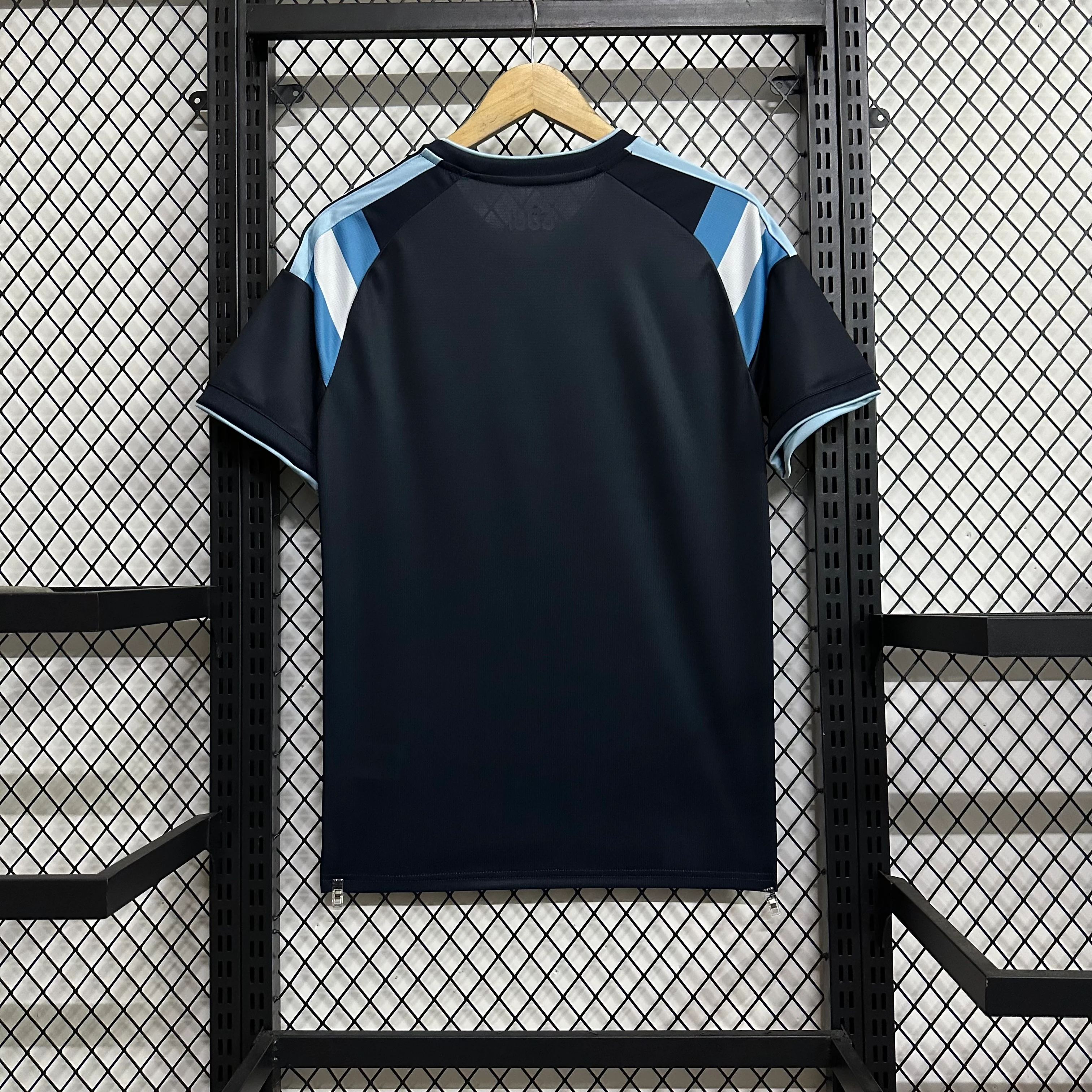 2026-27 Argentina Special Edition Jersey view 2