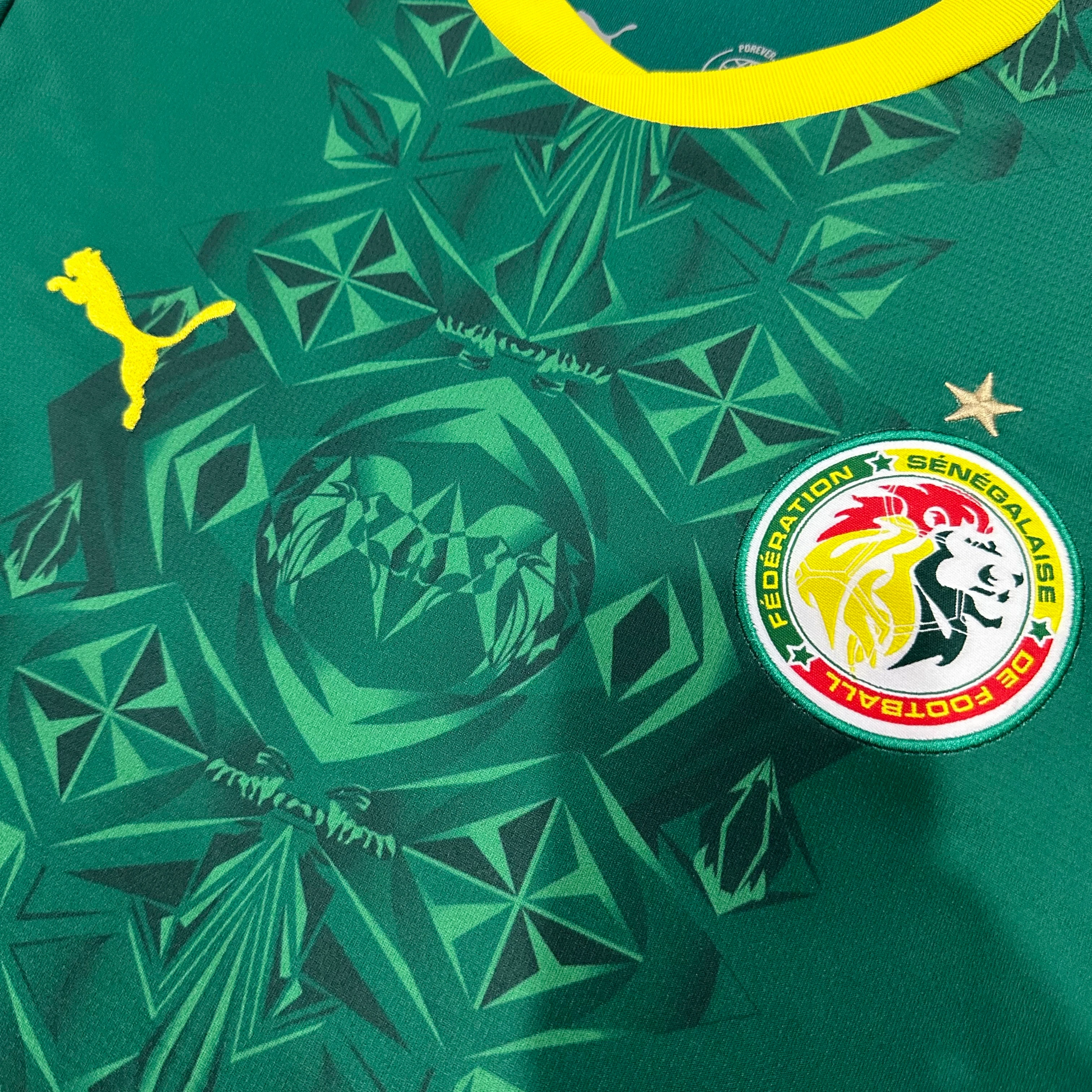 2026-27 Senegal Home Jersey view 5