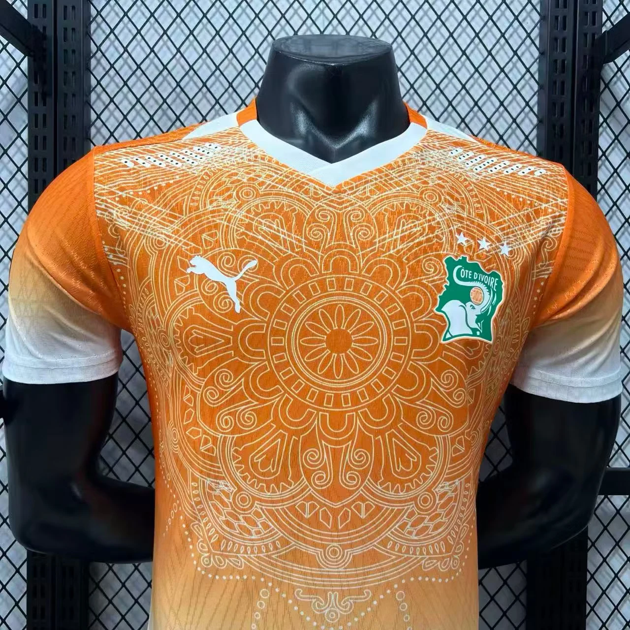 2026 Ivory Coast Special Edition Jersey – Player Version view 3