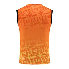 2024-25 Barcelona vest training jersey view 14