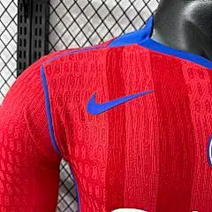 2025-26 Paris Saint-Germain Second Away Long-Sleeve Jersey - Player Version view 4