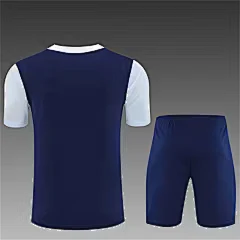 2025-26 Tottenham Hotspur Royal Blue Short Sleeve Training Jersey view 2