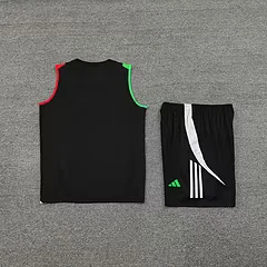 2024-25 Arsenal training vest jersey view 12